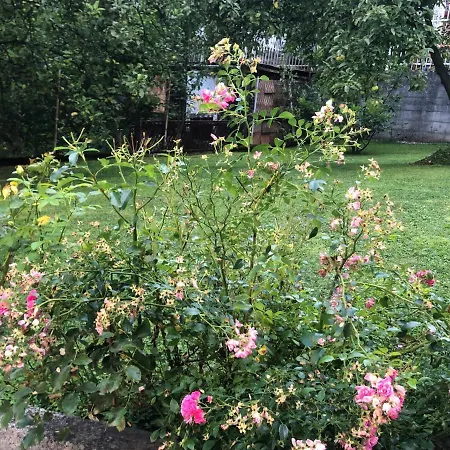 Pionirska Апартаменты Сараево