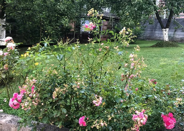 Pionirska شقة سراييفو